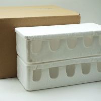 蛋类包装箱_副本